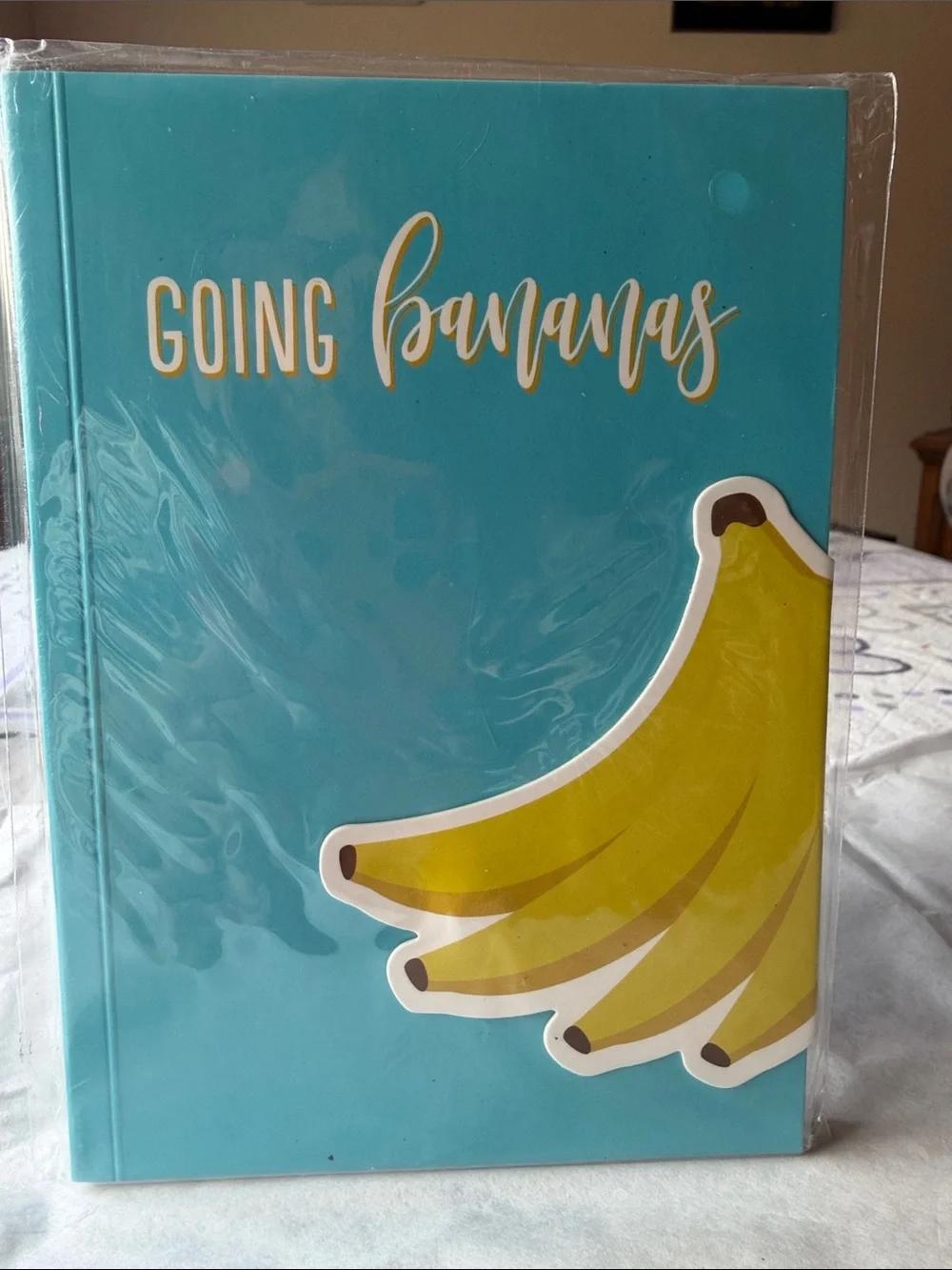 🍌📘🍌 Going Bananas Teal Banana Notebook🍌📘🍌 NWT 🍌📘🍌